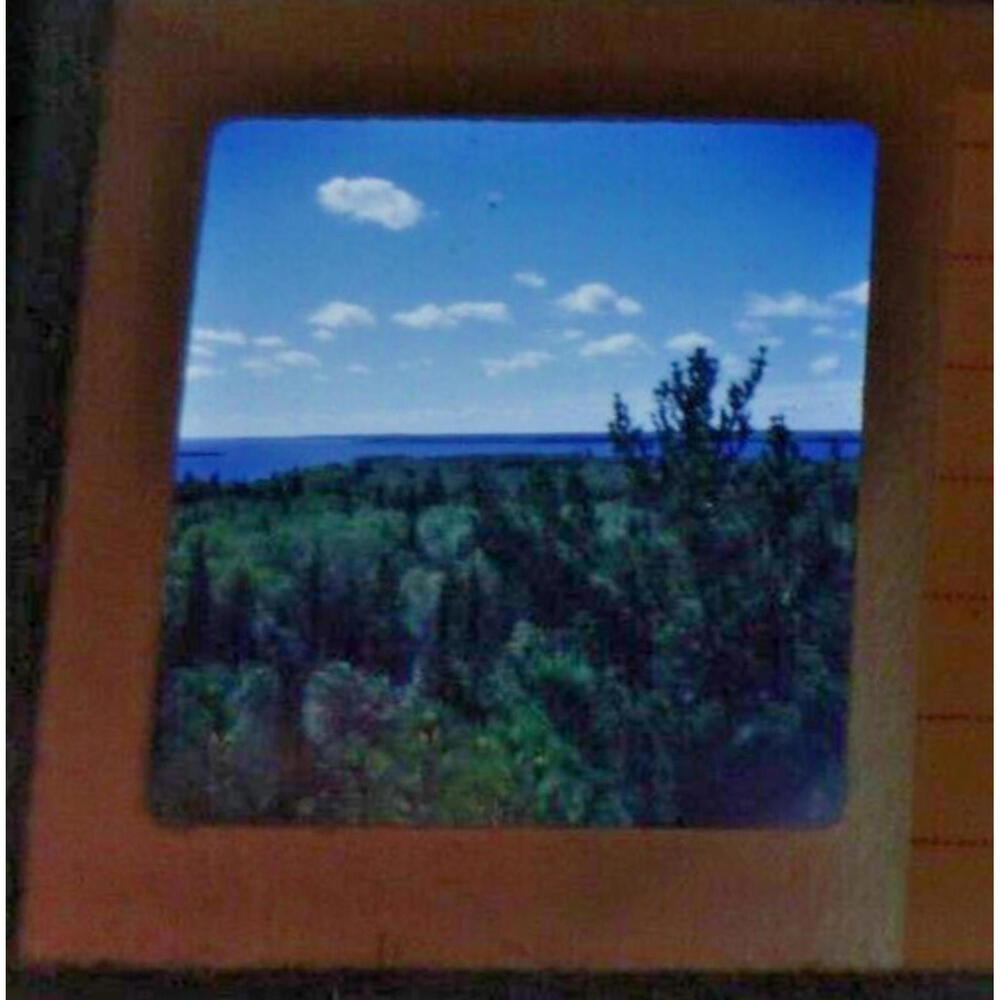 Vintage 1952 Stereo Realist Slide View of Gibbons Point Nature Landscape 3D